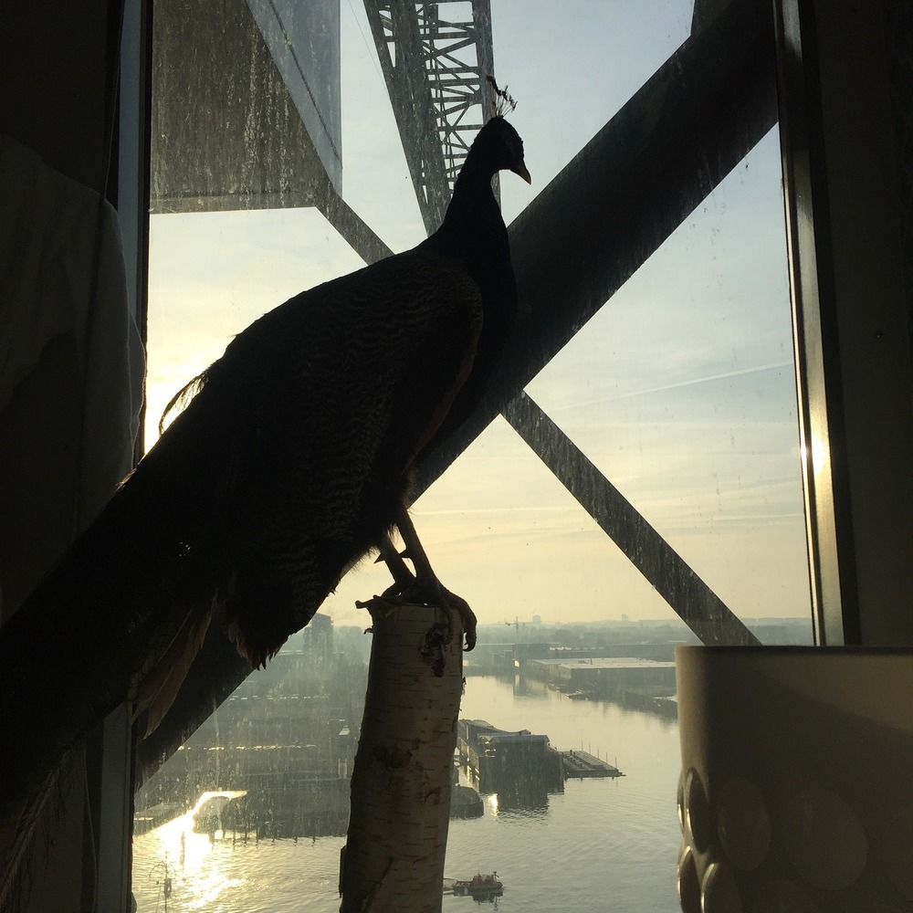 Crane Hotel Faralda Amsterdam Luaran gambar
