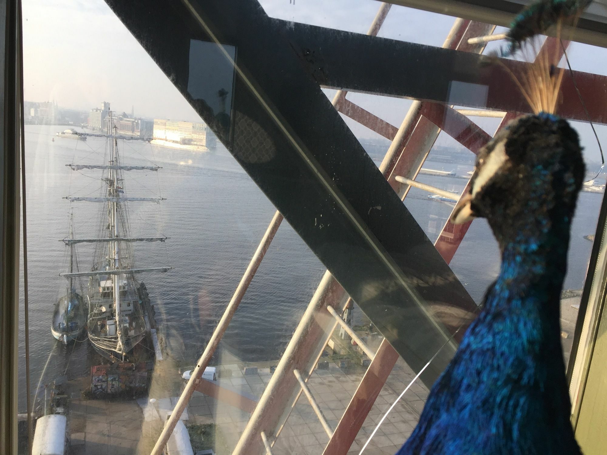 Crane Hotel Faralda Amsterdam Luaran gambar